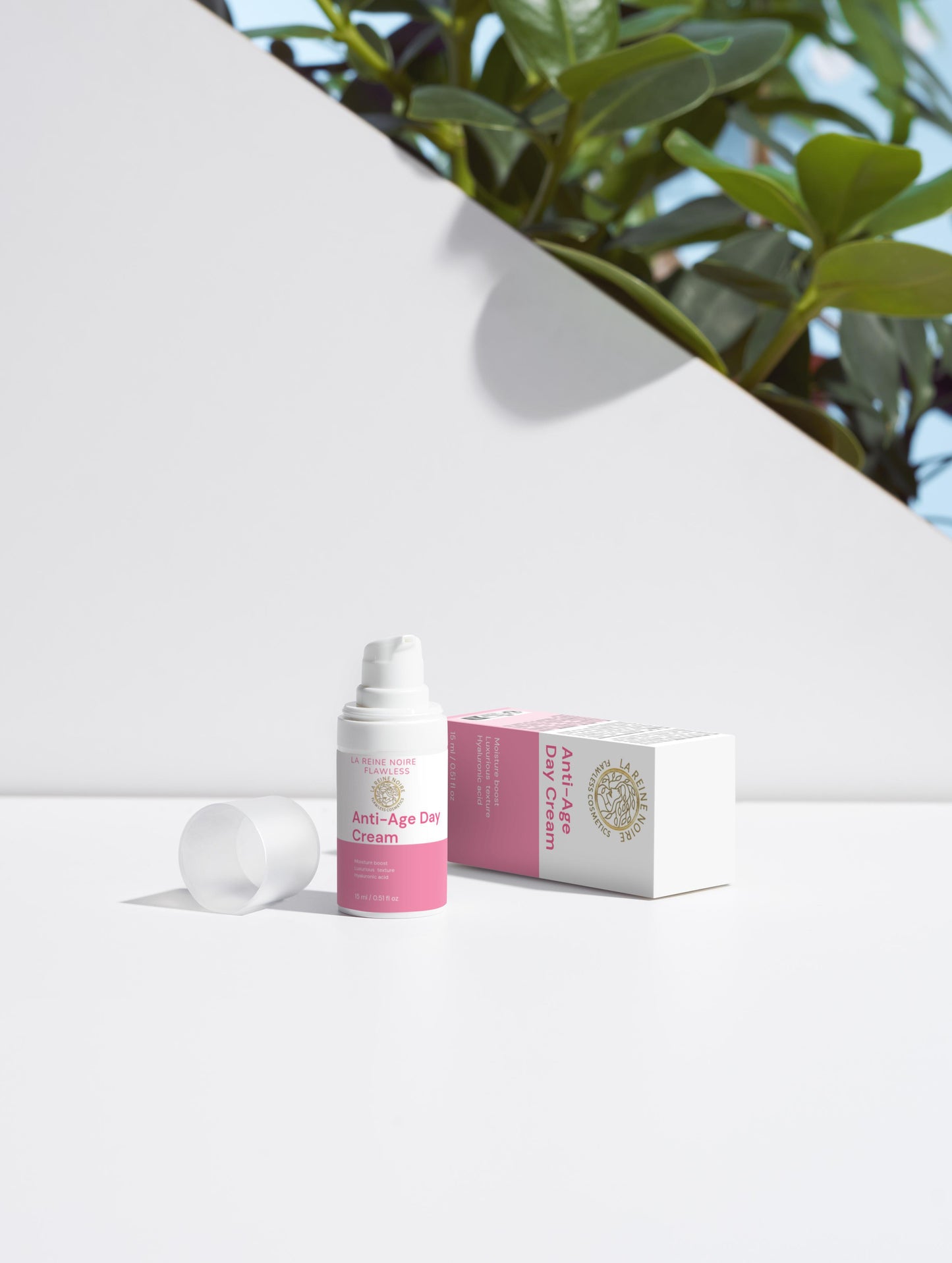 Clear Complexion Collection Box by Selfnamed